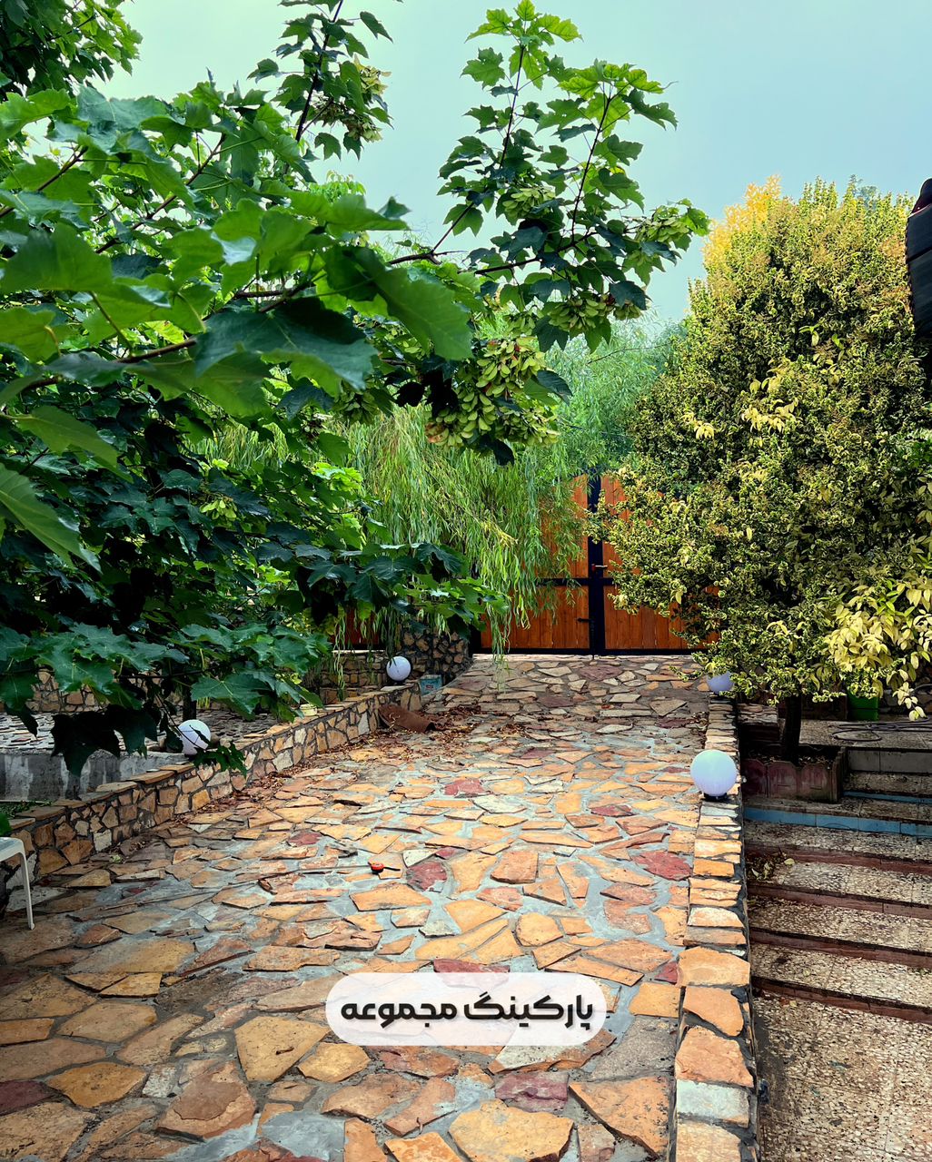گالری تصاویر
